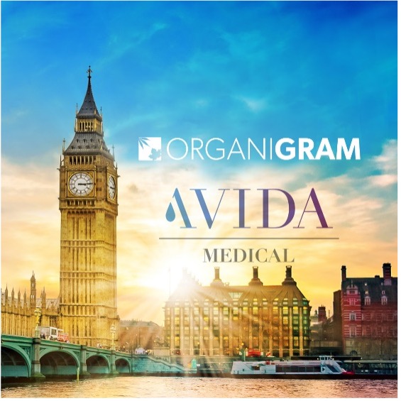 Organigram and Avida's logo.
