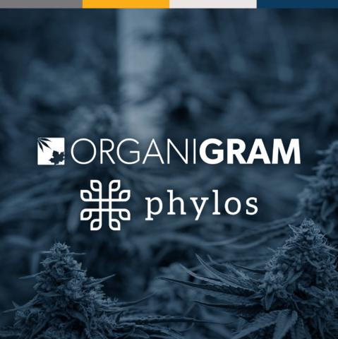 A picture featuring Organigram's top selling products.